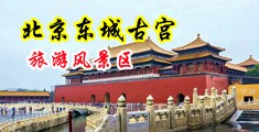 美女被干B国产中国北京-东城古宫旅游风景区